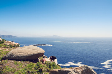 Two sheep resting on the grass on an edge of a cliff on a sunny day, blue ocean water in the...