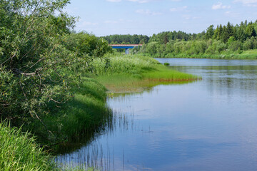 Panoramic view of the Neya River