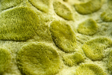 green texture