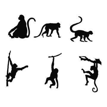 silhouettes of monkey animals