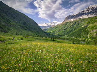 Vibrant aerial panoramic of the Alps during springtime. Snow capped peaks, forest covered valley and glacier fed streams and waterfalls