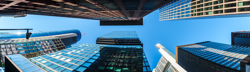 Frankfurt city with skyline from below