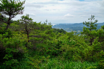 Obraz premium 奥三河 登山イメージ