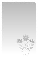 喪中はがき　コスモスの花