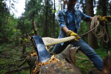 Male worker with an ax chopping a tree in the forest.