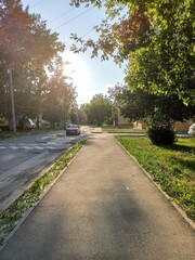  road in the park at golden hour
