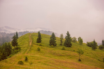 A path, several trees, a glade with green grass on the top of a mountain against a background of mountains and clouds