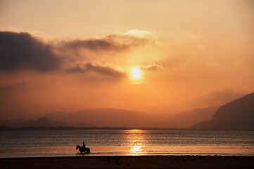 relaxing horseback ride at sunset in the estuary