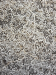 the texture of concrete cement wall