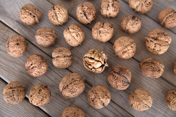 A broken walnut is surrounded by a bunch of whole walnuts