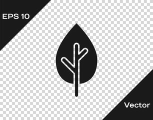 Black Tree icon isolated on transparent background. Forest symbol. Vector