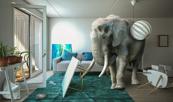 Elefant im Wohnzimmer mit Balkon