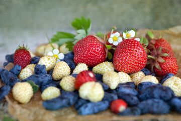 Red and white strawberries and honeysuckle on the table