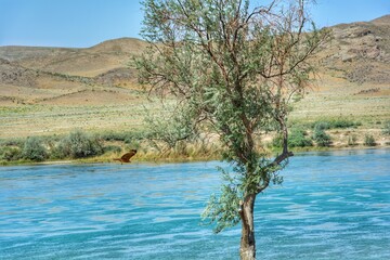 The Ili River in Kazakhstan. Tamgaly-Tas. Cave drawings. 