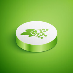 Isometric Branch viburnum or guelder rose icon isolated on green background. Healthful viburnum fruit bunch for natural vitamin. White circle button. Vector