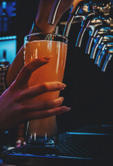 bartender hand at beer tap pouring a draught beer in glass serving in a restaurant or pub