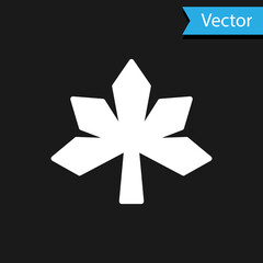 White Chestnut leaf icon isolated on black background. Vector