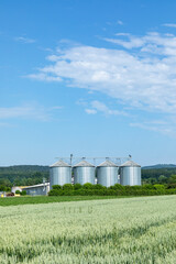 Fototapeta na wymiar silo at the field for corn under blue sky