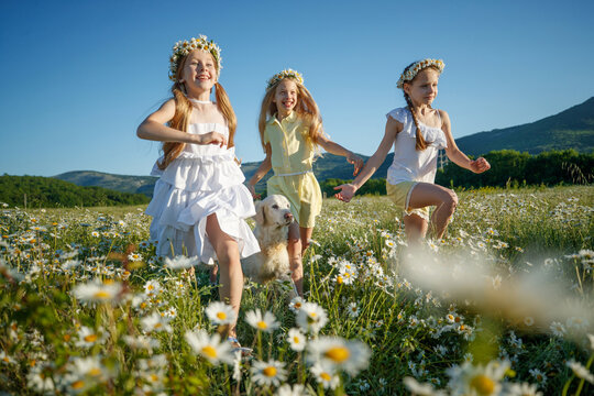 Children in nature. The girls play fun. High quality photo