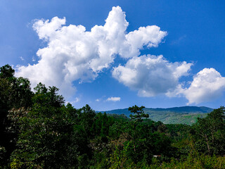 Blue sky and clouds, Assam, India