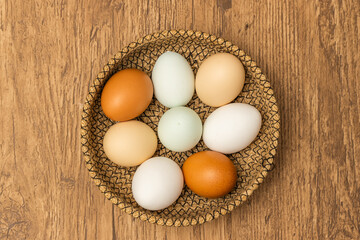 たまご　Unique and typical egg photo 