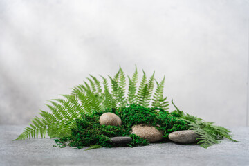 Stones, natural green moss and fern composition. Podium for organic cosmetic products. Natural stand for presentation