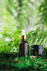 Beauty products on moss and stones podium. Serum and face care cream in glass bottles. Natural...