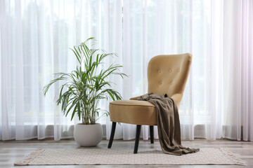 Comfortable armchair with clothes and beautiful plant near window indoors