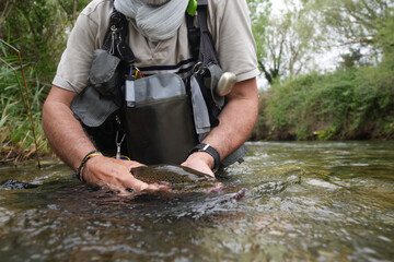 fly fisherman catching a big wild trout in a small river