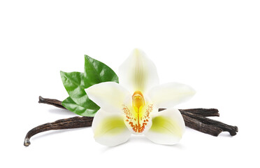 Dried aromatic vanilla sticks, beautiful flower and green leaves on white background