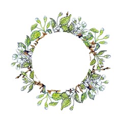 Naklejka premium Apple tree floral round frame. Delicate design for wedding white flowers, green leaves and branches. Colorful objects set, elements are isolated and editable. Spring bouquet. Vector stock illustration