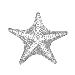 line art silhouette of a black starfish on a white background. vector illustration. close-up, isolated, marine life, sea animal
