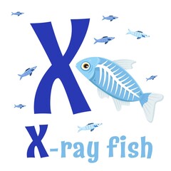 Sea Animals Alphabet. ABC for children. Letter X
