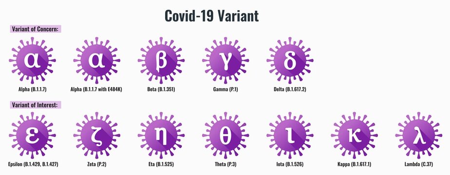 Set of Coronavirus or SARS-CoV-2 Variant Illustration