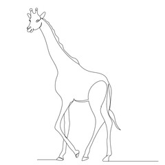 giraffe one line drawing isolated, vector