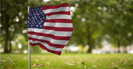 Composition of american flag over park