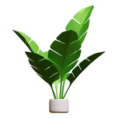 Summer Banana Leaf Plant 3D Rendering Illustration