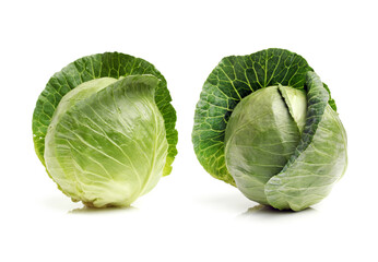 Fototapeta premium cabbage isolated on white background