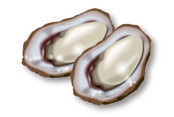 牡蠣のイラスト