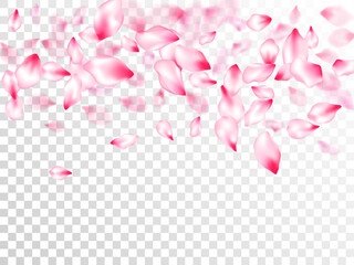 Spring tree flowers parts, airy flying petals