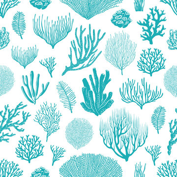 Sea corals, sponges and seaweed seamless pattern. Marine life background, ocean bottom species, aquarium animals and plants, underwater flora and fauna backdrop, textile decoration