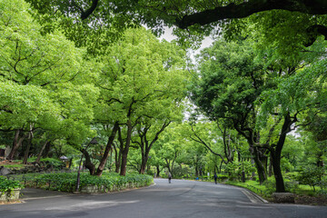 Fototapeta na wymiar 東京都立日比谷公園