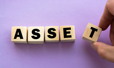 Word ASSET made with wood building blocks