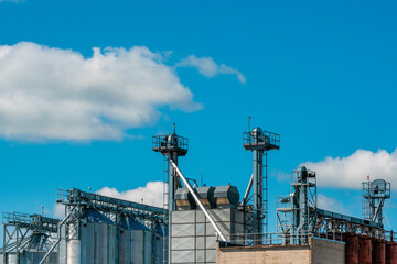 Fototapeta premium Warehouse of wheat and other cereals