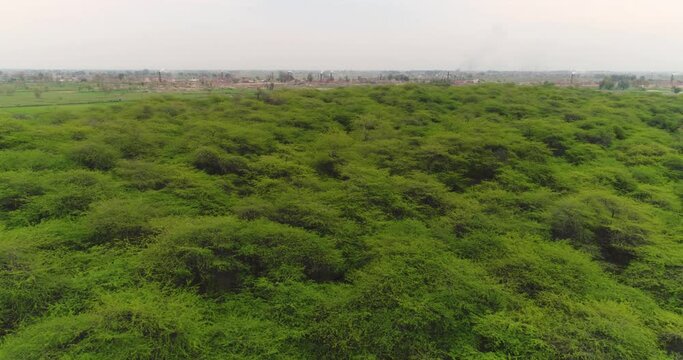 Aerial Flyover Of The Antelope Game Reserve Forest Surrounding Hiran Minar In Pakistan