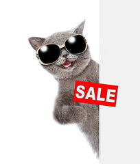 Happy cat wearing sunglasses looks from behind empty board and holds sales symbol. isolated on white background