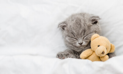 Gray kitten sleeps under warm white blanket on a bed at home and hugs favorite toy bear. Top down...