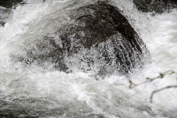 wild water in a mountain river splashing over a rock
