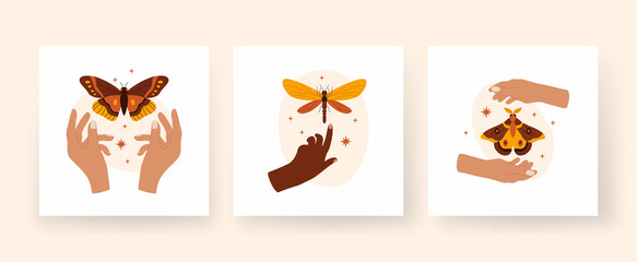 Trendy abstract square boho art set. Hands hold butterflies and dragonflies. Minimalistic composition with tropical insects and stars. Finger touches terracottata damselfly. Moth hovering between