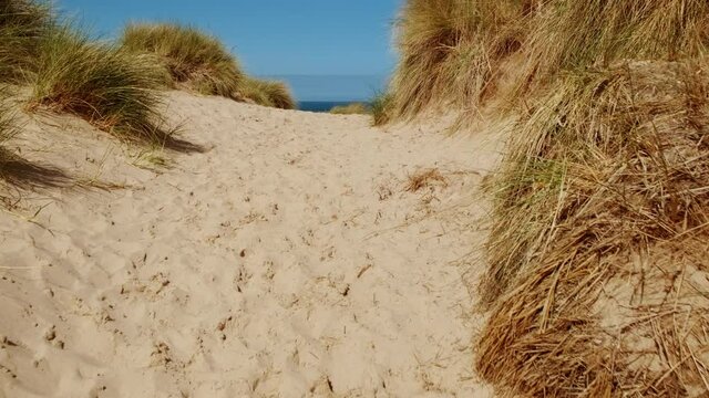 Walking along Bamburgh Castle beach, a pristine, sandy beach, backed by sand dunes in Northumberland, England, UK